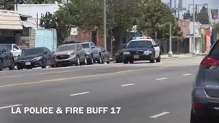 Lapd responding 