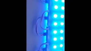 Modulos Led Azul