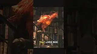 Phoenix Fact
