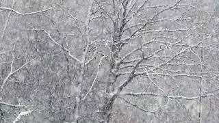 Snowfall &ndash; Serene Winter Ambience for Relaxation