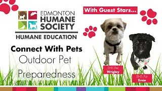 After Hike Pet Check & Outdoor Pet Safety - Humane Education: Connect With Pets