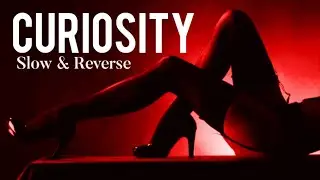 C U R I O C I T Y   -  Bryce Savage