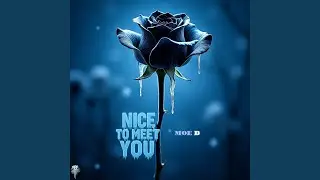 NICE TO MEET YOU