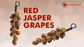 Remedywala Red Jasper Grapes Chunks Door Hanging For Protection