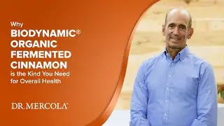 Why BIODYNAMIC&reg; ORGANIC FERMENTED CINNAMON is the Kind You Need for Overall Health