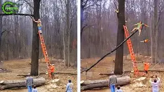 Idiots With Chainsaws: Tree Cutting Fails | Extreme Dangerous Logging Truck Fails #24