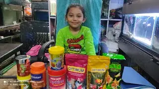 Top Quality Food For Goldfish | Colour Enhancers Food | Affordable Range of Aquarium Fish Food |