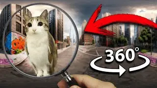 НАЙДИ Мяула | Поиски приключений: видео 360&ordm; VR