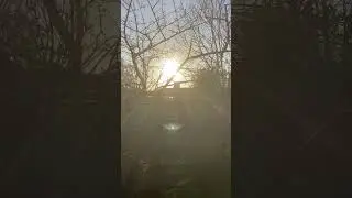 &AElig;gte sol. S&aring;dan opf&oslash;rer en &aelig;gte sol sigIMG 1590