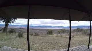 Entamanu Ngorongoro, Tanzania