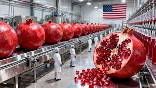 How Pomegranate Juice Is Made in the USA: From Raw Fruit to Premium Bottles (Step-by-Step)