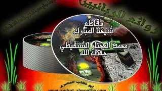 ما حكم توظيف رجل في شركة براتب بالإضافة إلى نسبة من الأرباح؟ الشيخ الشنقيطي