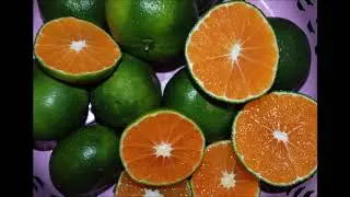 Orange and Green [Spoken Word - Poetry]
