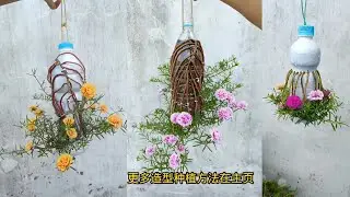 Creative planting ideas at home garden by container, Beautiful flowers garden,