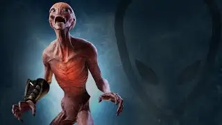 Xcom 2 Warhammer of the Chosen Campaign
14