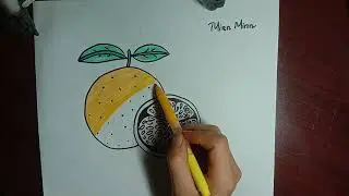 Draw and Colour The Orange| Vẽ v&agrave; T&ocirc; M&agrave;u quả Cam| Minn Minn