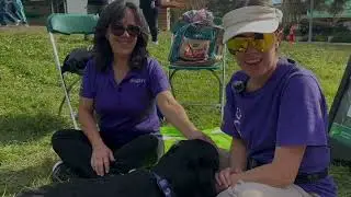 Dogs Inc at USF's Paws and Relax Event