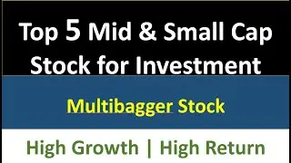 Top 5 Mid Cap Multibagger Stock to Invest | Potential to become large cap| With High Return & Profit