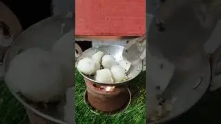 mini podi idli || mini idli || mini cooking || so easy and so tasty ||
