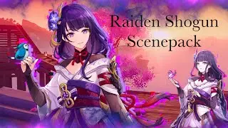 Raiden Scenes - Genshin Impact