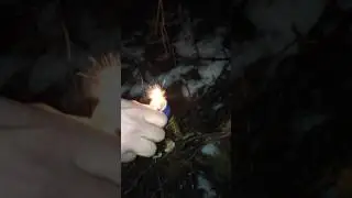 Мега корсар