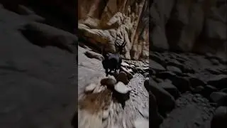 Goat's Cliffside Challenge