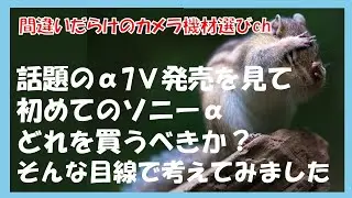間違いだらけのカメラ機材選びch 「話題のα7Ⅴ発売を見て初めてのソニーαどれを買うべきか？そんな目線で考えてみました」