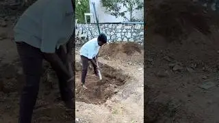 Next update ⁉️🚨thoti keta porom makalaye 📈⁉️#petscorner #petsvlog #pets #sugargliderlover #ytshort