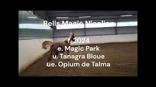 Bells Magic Nicolina