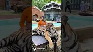 📍Tiger park Phuket