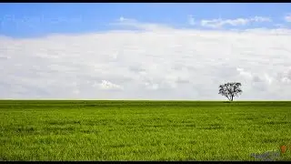 ربيع الاردن 2018 سهل ام قيس  والحمة الاردنيه وشرح من الدليل السياحي  /حابس النعيم
