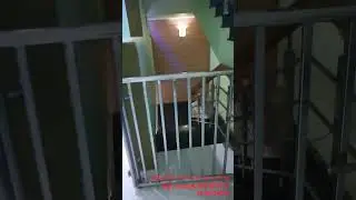 Halal Group'S Real Estate Tvm 
