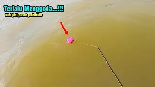 Sereset..!!! Langsung Bak Bik Bek Enggak Ketulungan mancing Di spot kayu dolken