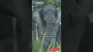 Wildlife Conservation AI aids in monitoring and protecting endangered species  🦓 #shorts #AI #fyp