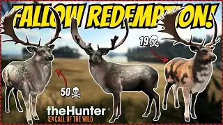 Shooting 3 GREAT ONE FALLOW; 2 SHORTEST GRINDS BACK TO BACK! | theHunter: Call of the Wild