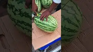 Bangladesh watermelon 🍉🍉😱😱 #shorts #viralvideo #watermelon #bangladeshi