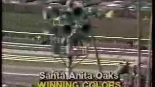 1988 Santa Anita Oaks