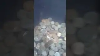 I Found $1000 Worth of Coins Using a Metal Detector