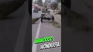 wawoo Nice Wonderful #shortsfeed #worlddiscovery #shortsviral #viralshort #feedshorts