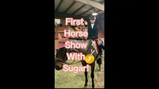 SCHOOLING + SHOW VLOG | SPICY SUGAR #horseshow #showjumping #hunter #horses #jump