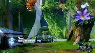 Feathers in the Lost City Triumph - All 5 Feathers Location in The Lost City | The Final Shape