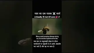Queen Bee reproduction Process #youtubeshorts #like #share #subscribe #honeybee