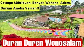 DURAN DUREN WONOSALAM COTTAGE !! Cottage 400ribuan, Adem, Banyak Wahana Bermain, Durian Aneka Varian