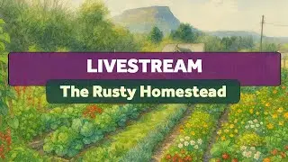 The Rusty Homestead - Live from Wales, United Kingdom