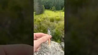 smoking a preroll in the mountains