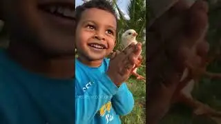 Happy Little Boy Playing in the Farm #kids #chicks #farmlife #shorts
