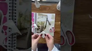 Collage with Me! (volume 1) #collage #papercraft #papersounds #cuttingasmr #scrapbooking #asmr