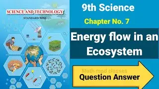 7. Energy flow in an Ecosystem question answer | Class 9th Science Swadhyay 