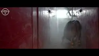 ASI ES LA LLEGADA Y DESEMBARQUE EN LA MONUMENTAL DE MORELIA