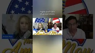 Cartel Influence on Political Systems